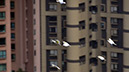 _GUI2889 Hong-Kong