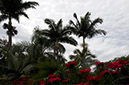 _DSC0195 Braslandia XForm AA
