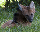 _DSC4052 Brasilia