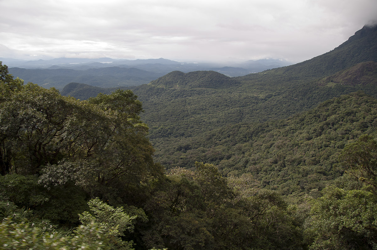 DSC_9169 Serra Verde Parana