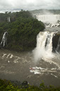 _FLO8243 Iguacu