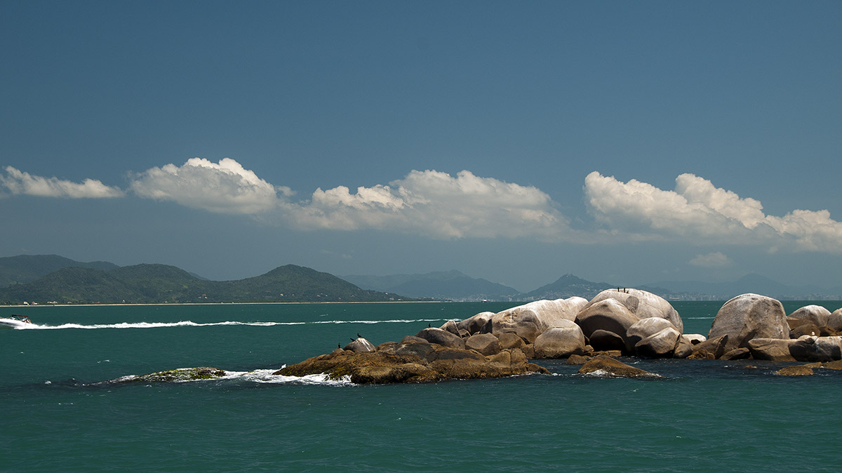 _FLO4898 Santa Carolina